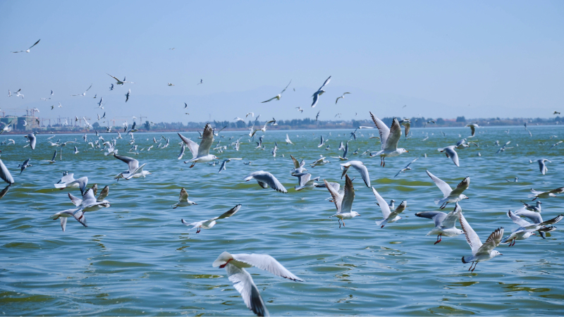 du lịch Trung Quốc mùa đông 8